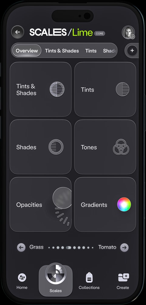 Scales by Bryan Funk